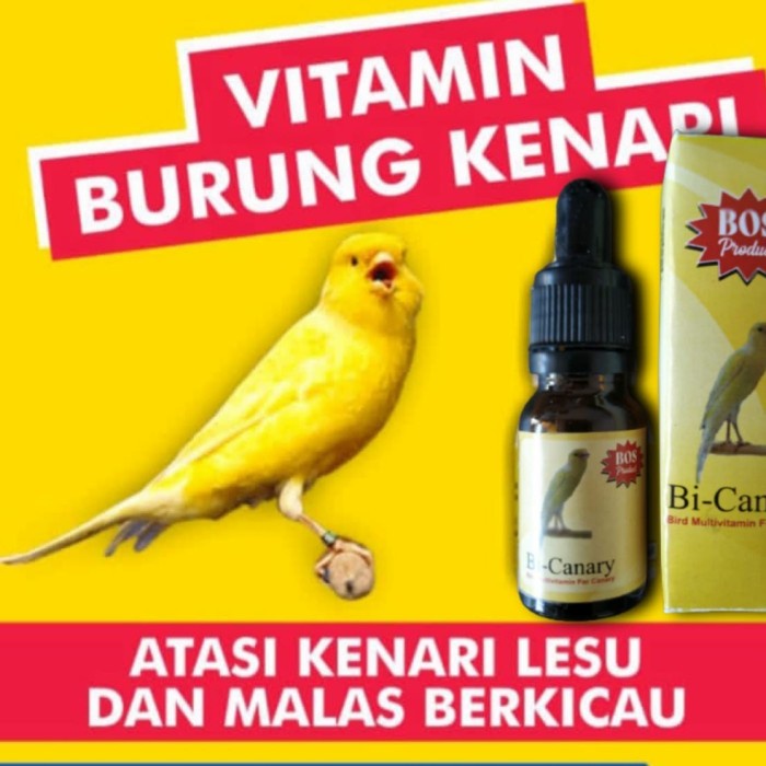 Vitamin Burung - Vitamin Burung Kenari Gacor