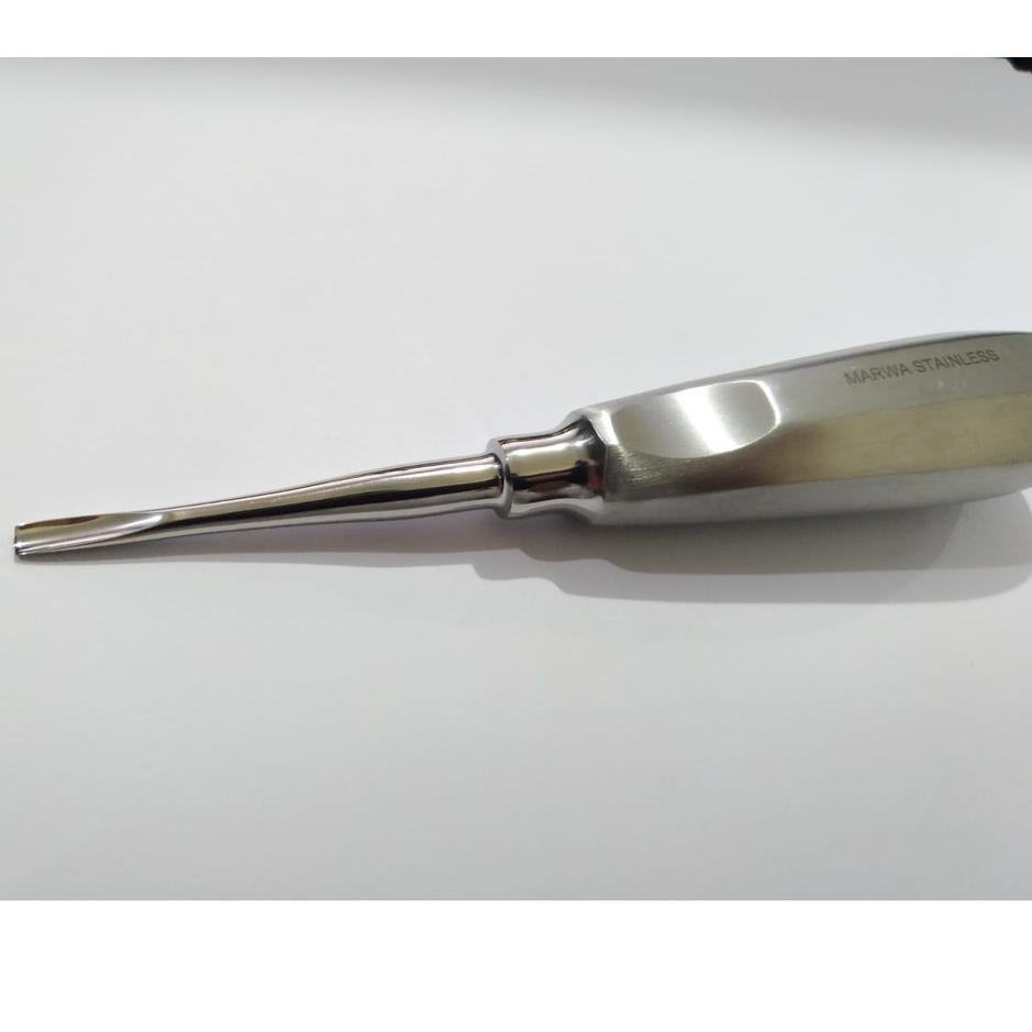 Ω Bein Root Elevator Straight 1 mm 2 mm 3 mm / Bein Dental Gigi ✼