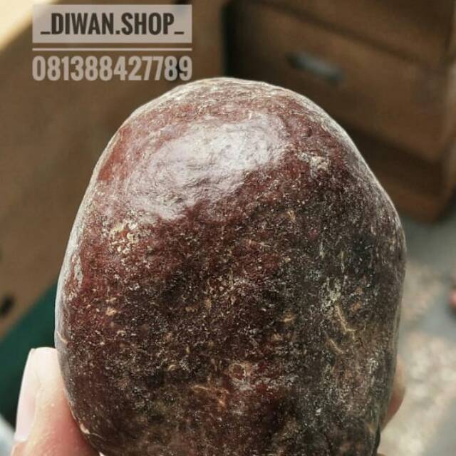 

Buah dzuriat