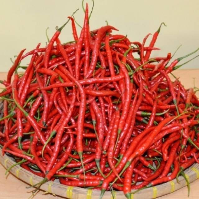 

Cabai merah keriting 250 gram