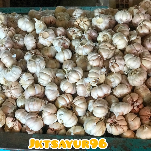 

BAWANG PUTIH BANCI
