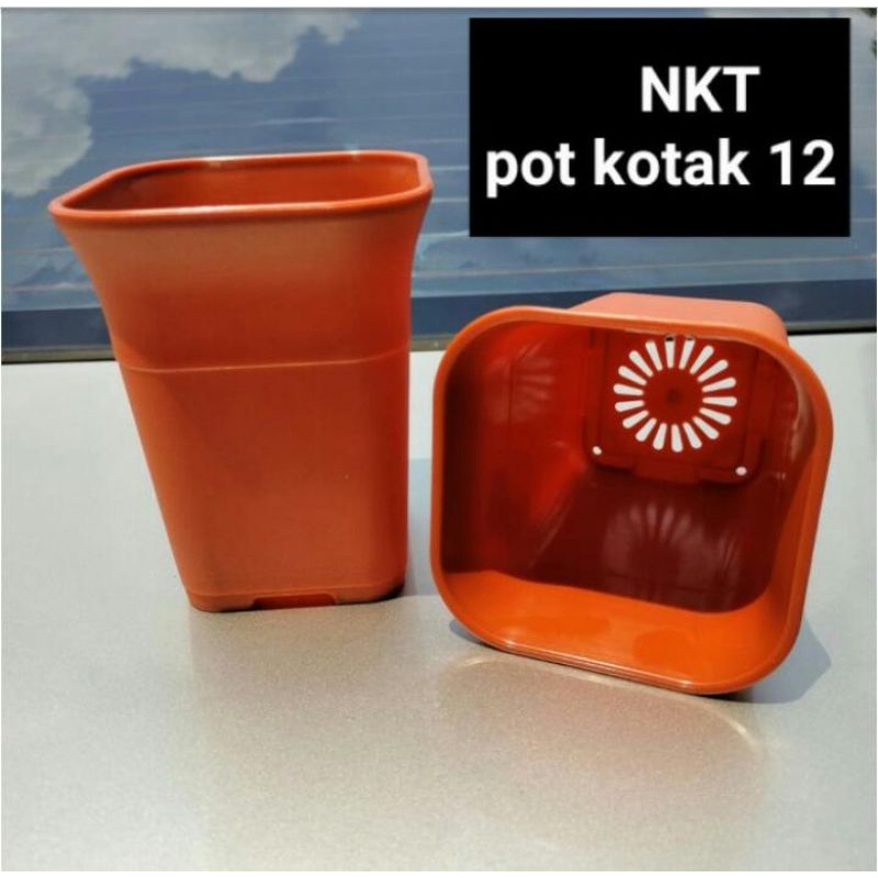 pot bunga | pot kotak 12 cm | warna bata | POT NKT
