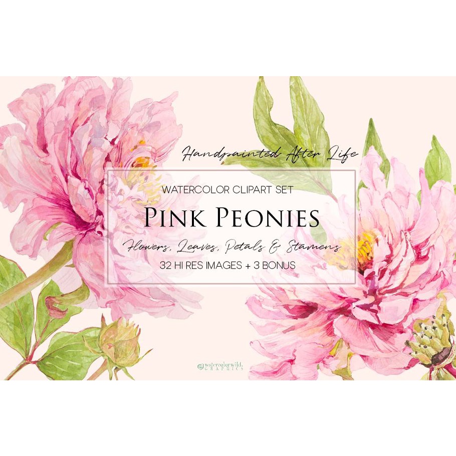 Pink Peonies Clipart Set - JPEG Ultra HD