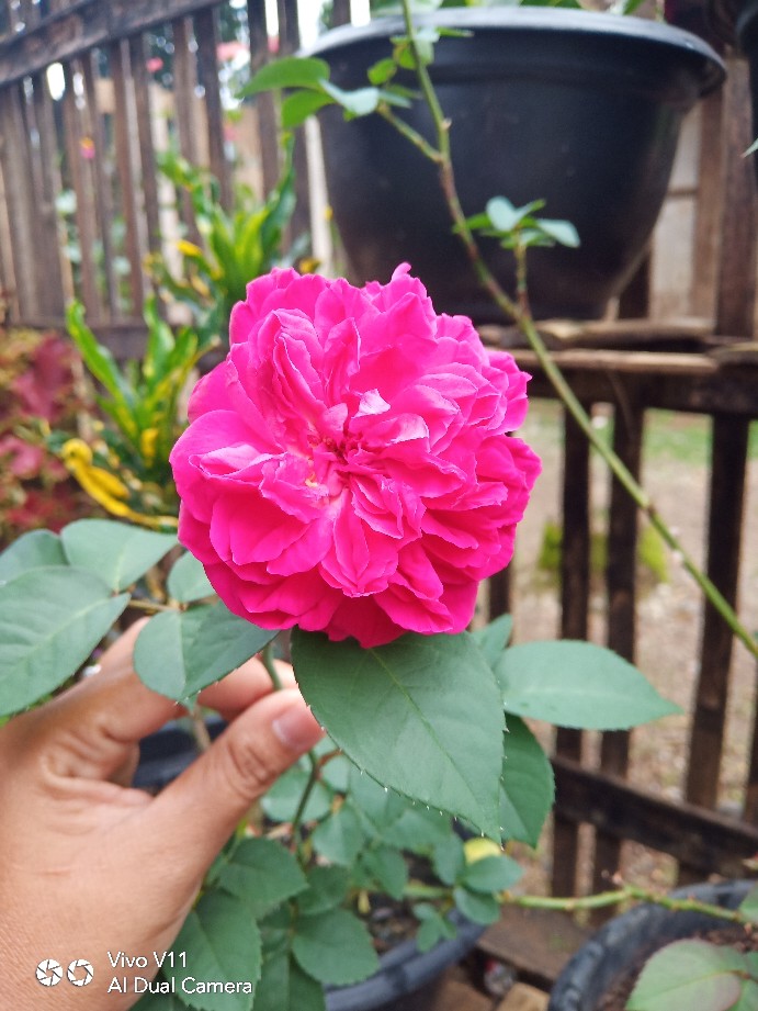 Kemeja Koko Batik Anak Lengan Panjang By Natta_line