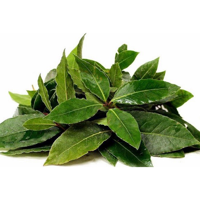 

Daun Salam (bungkus)
