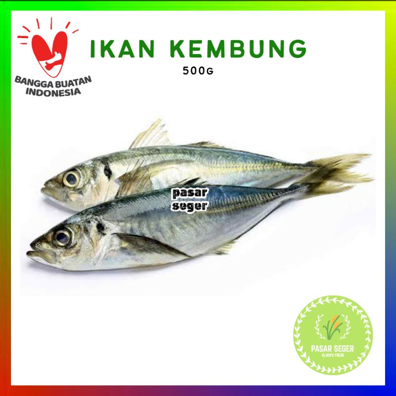 

Ikan kembung 500 gram