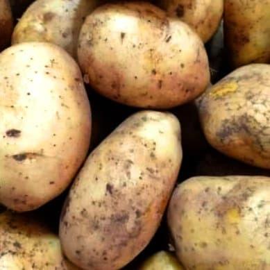 

Tepung | Raw Potatoes | Kentang Mentah | Potato 100% Fresh - 5 Kg