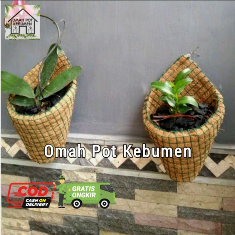 (omah pot) POT ANGGREK/POT DINDING TEMPEL