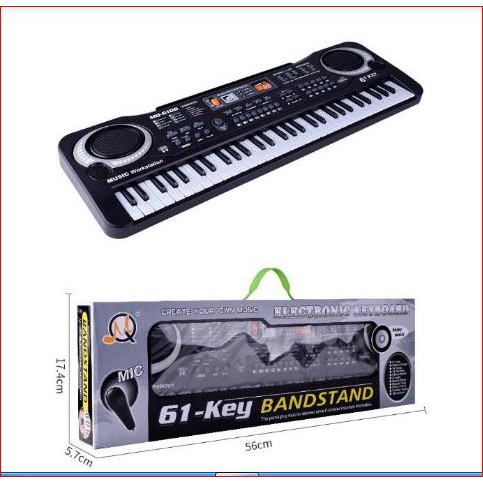 piano 61 key dan mik