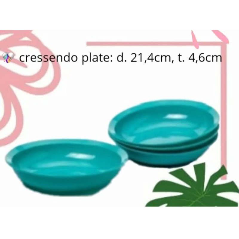 Piring Tupperware MURAH PROMO  LARGE DEEP PLATE/ PIRING