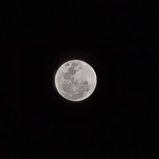 mohammadfidiabganishermawan