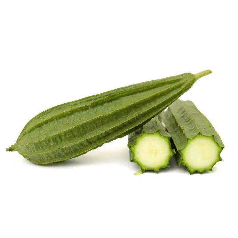 bibit oyong / bibit luffa