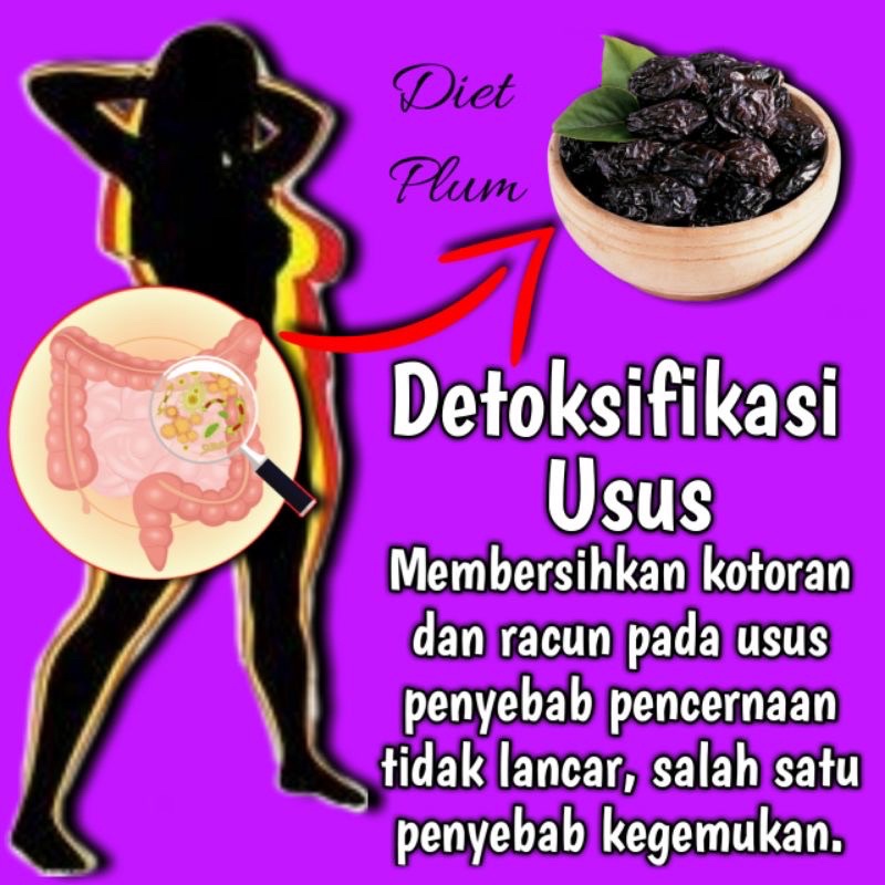 KURUS KILAT DRIED PLUM Penurun Berat Badan Pelangsing Diet Detox Perut Buncit Ampuh No Herballife