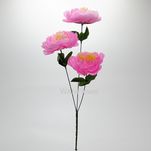 WANFLOWER Peony Tropis Putik X3 * ALL