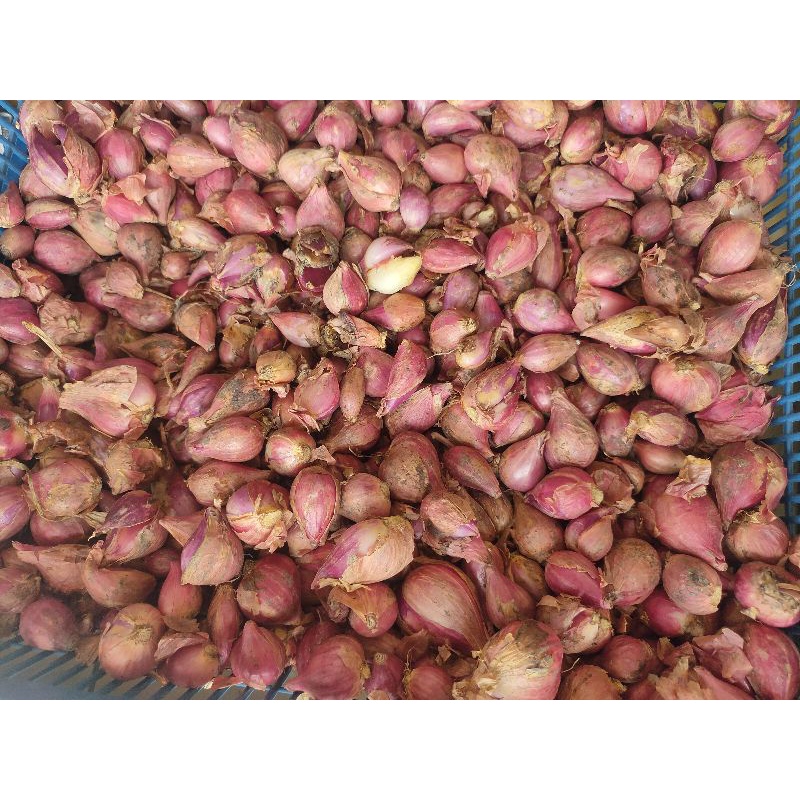 

KIRIM INSTAN BAWANG MERAH BREBES