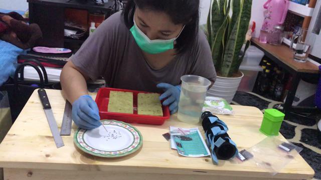 Paket Starter Kit Hidroponik 3 Set Slab Komplit (nampan + Spuit) Murah