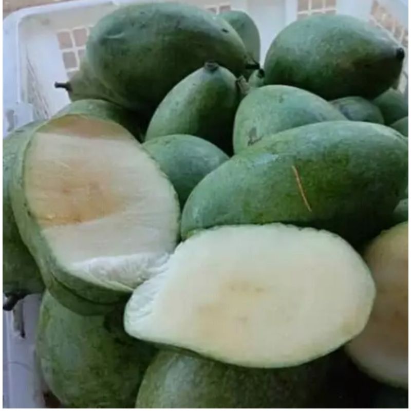 

Mangga muda campuran 500g