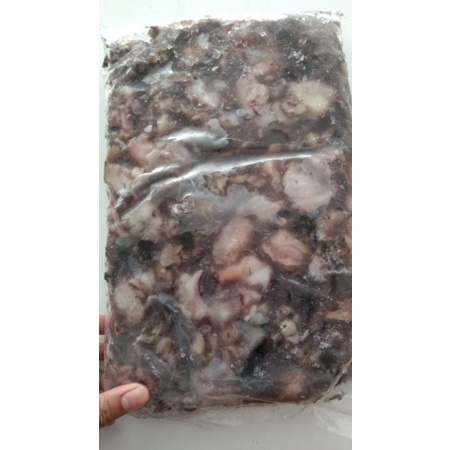 

gurita potong biasa, bukan premium