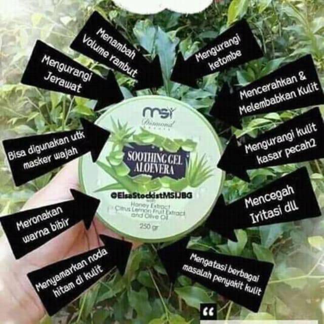 Soothing gel Aloevera