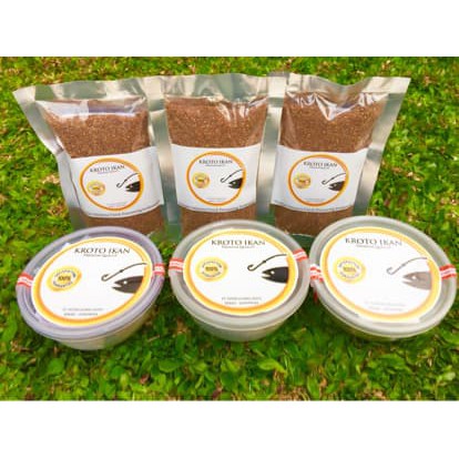 Terlaris KROTO IKAN 50