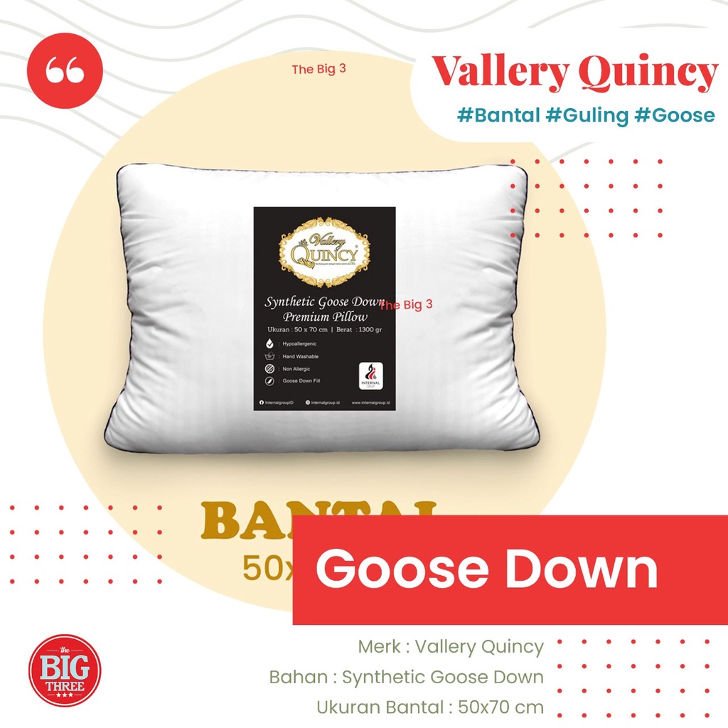 Vallery Quincy - Bantal / Guling Bulu Angsa - Soft Pillow Bolster Goose Down Tidur Kepala Lembut - T