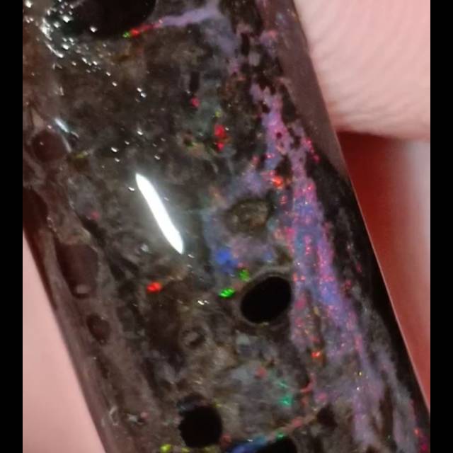 Bahan Black Opal Sempur Ruyung Banten..