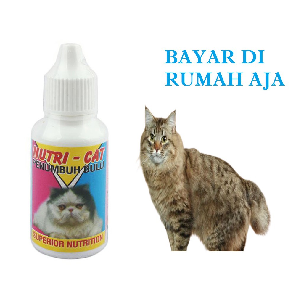 VITAMIN KUCING NUTRICAT OBAT PENUMBUH BULU AMPUH