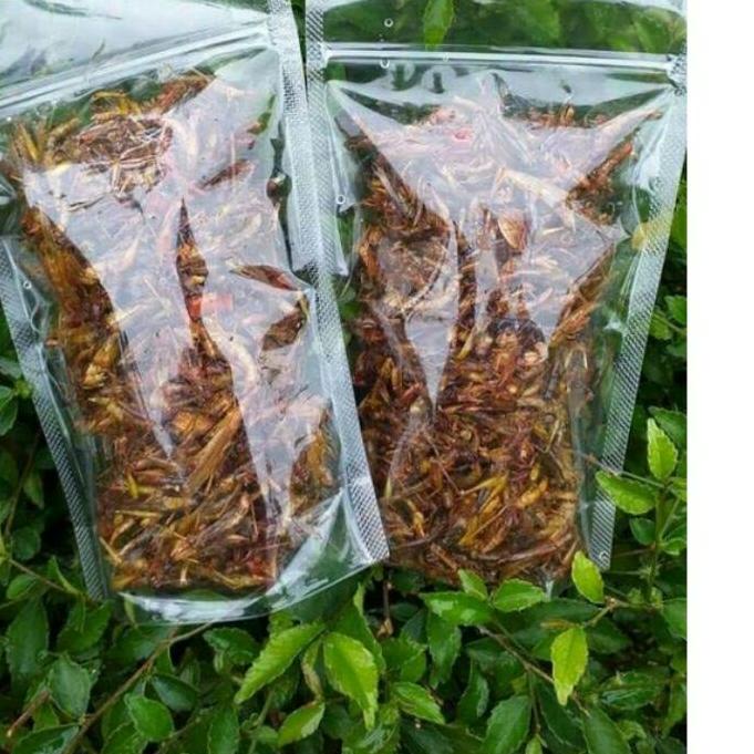 

>D2289) ⭐⭐⭐⭐⭐ BELALANG GORENG/WALANG GORENG BEST SELLER standing pouch KEMASAN 40GR produck terbaik
