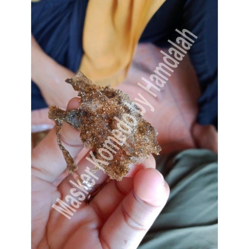 MASKOM. Masker komedo Hamdalah