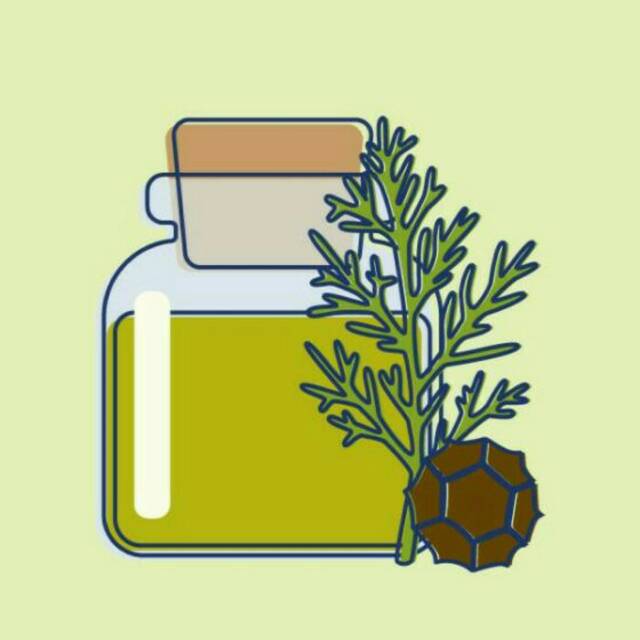 Minyak Cypress / Cypress Oil