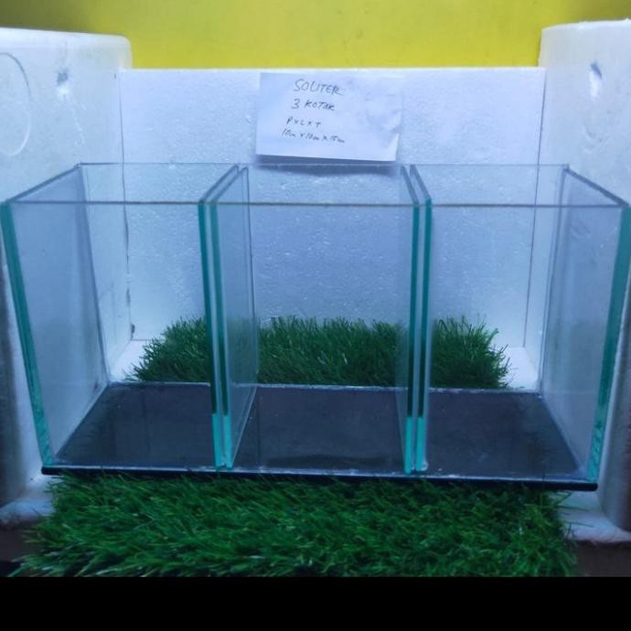 |Terbaru| Soliter Sekat 3 Aquarium 3 Kamar Aquarium Mini Cupang |Promo