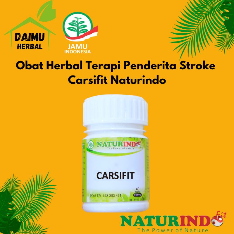 Obat Herbal Terapi Penderita Stroke Saraf Carsifit Naturindo