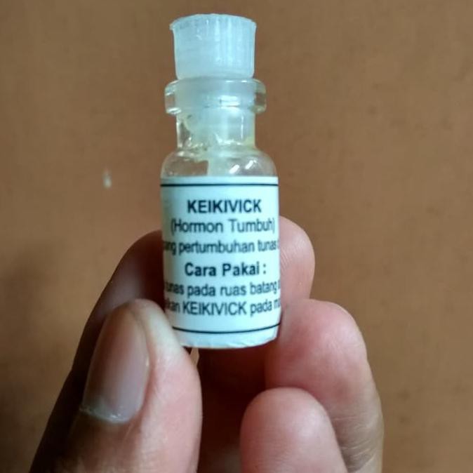 Yang Dicari] Keikivick Salep Oles Penumbuh Bunga Bud Breaker