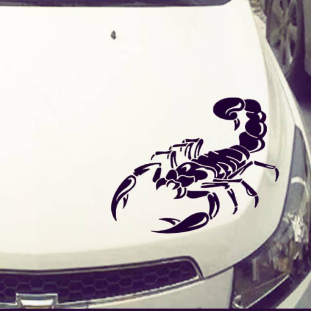 Stiker mobil scorpion sticker cutting decorasi mobil