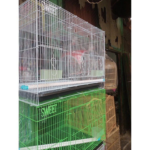KANDANG KUCING,KELINCI, LOVEBIRD DLL uk 40x60.-1