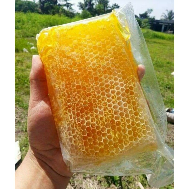 

Madu Sarang