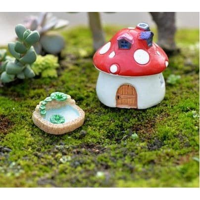 Miniatures - Terrariums - Pools (3pcs)