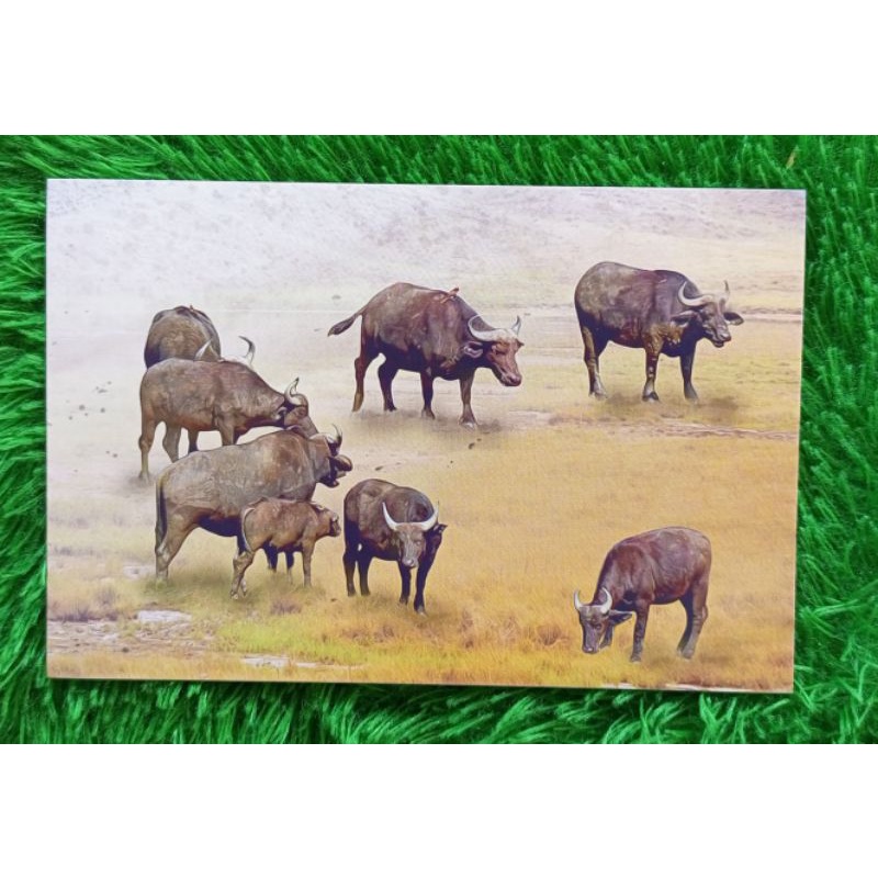 

Postcard/kartupos Pos Indonesia