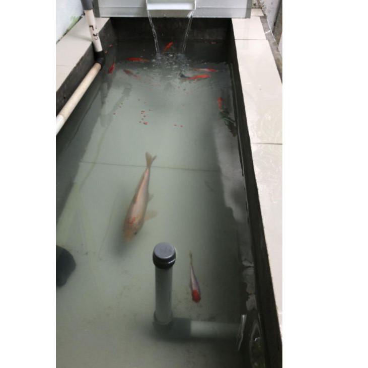 [KODE TRQGW] FILTER TALANG AIR TERJUN KOLAM