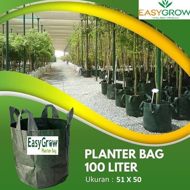Planter Bag 150 Liter Original Easy Grow - PLANTER BAG HIJAU 150LITER - 150 Liter produk original