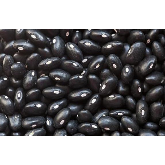 

Kacang Kedelai Hitam 100Gram Black Turtle Bean 100G Dafa.Olshop