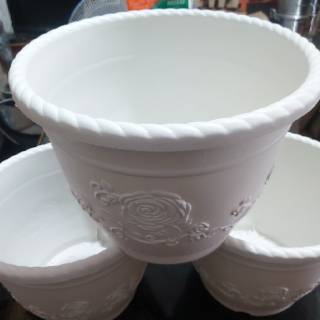  Pot  bunga  putih  KB SHALLOM  GLORY 30 Shopee Indonesia