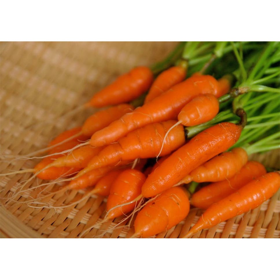 

Sayur Baby Carrot - 500 Gr