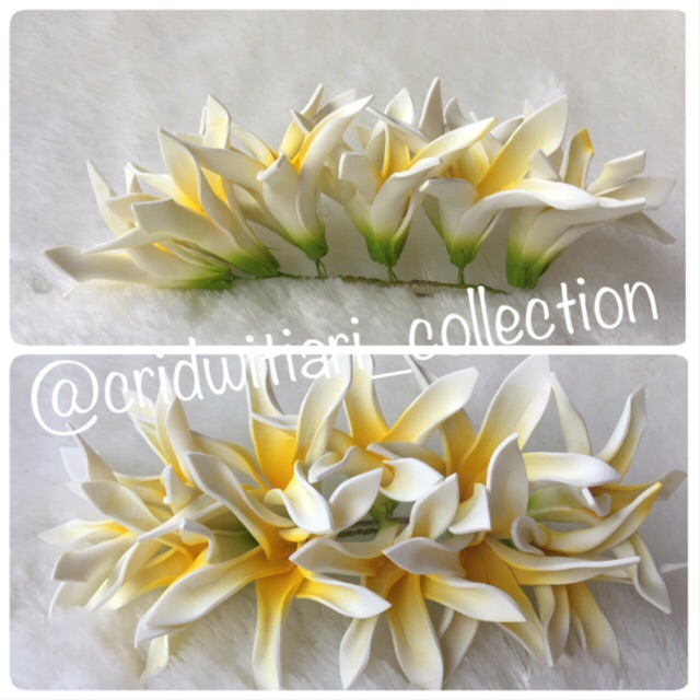 Semanggi Jepun Anggrek