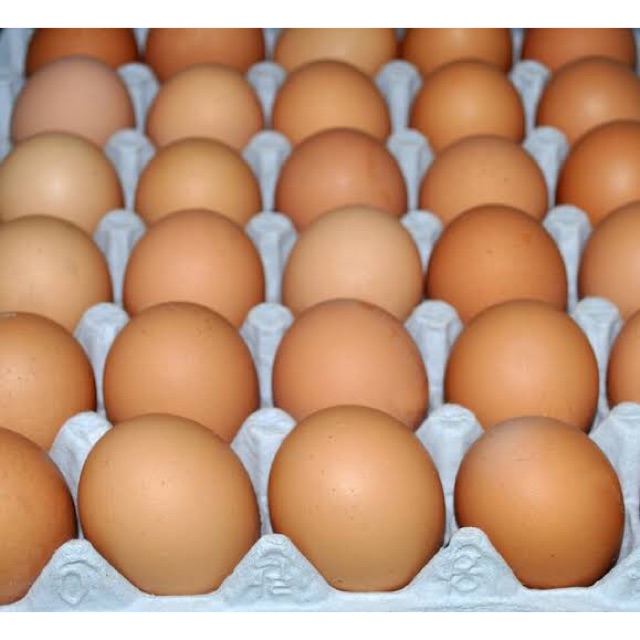 Telur Ayam Agen Tangerang Shopee Indonesia 