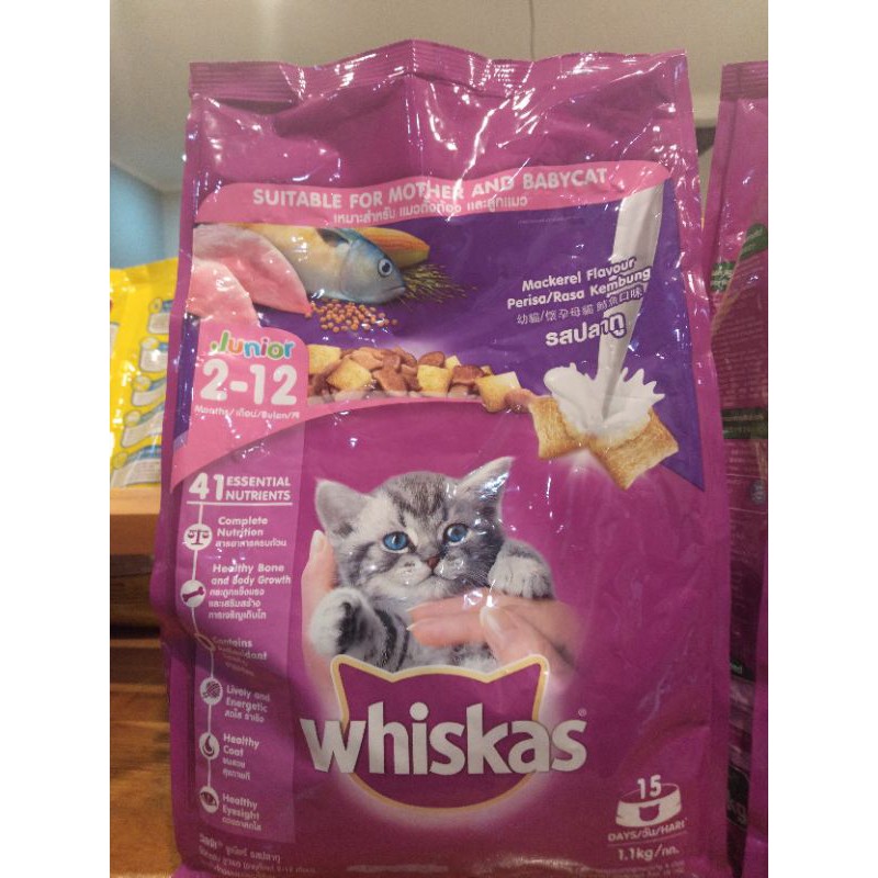 

WHISKAS JUNIOR MACKEREL 1,1 KG