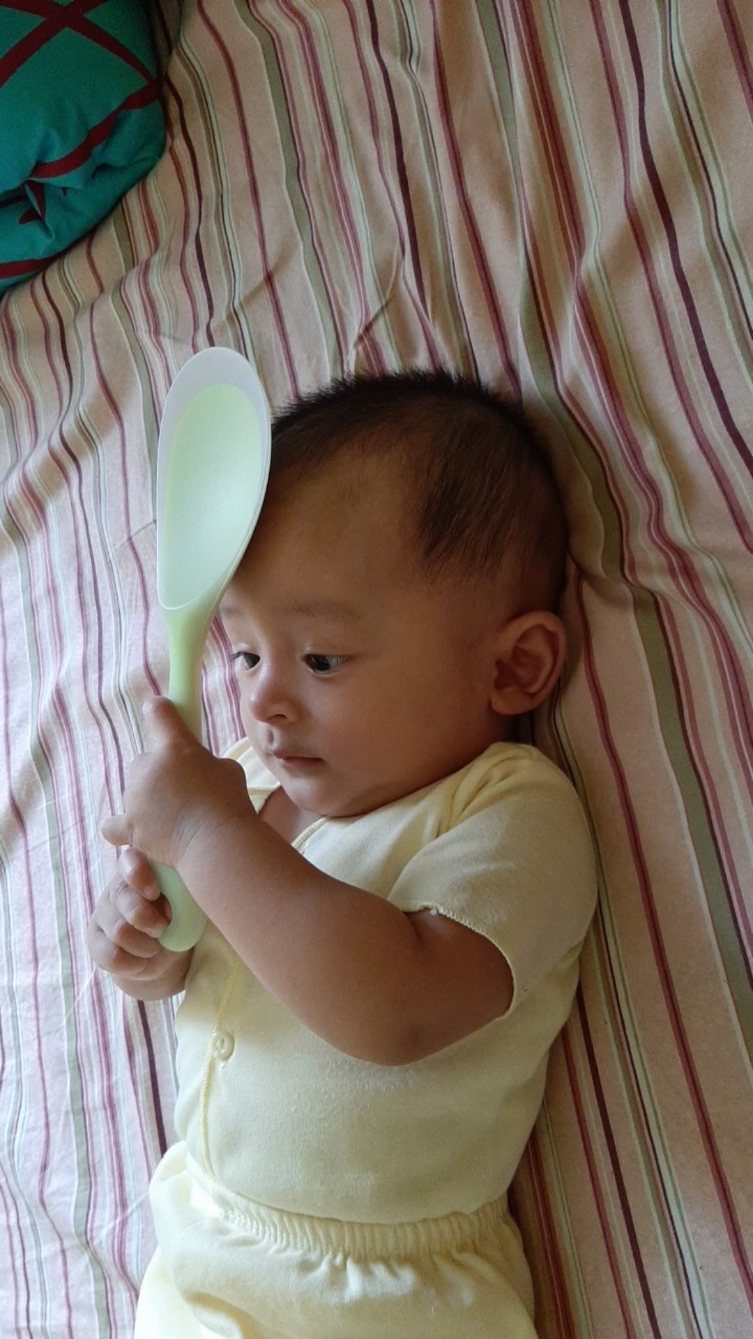 Centong Nasi 1 Warna Anti Lengket