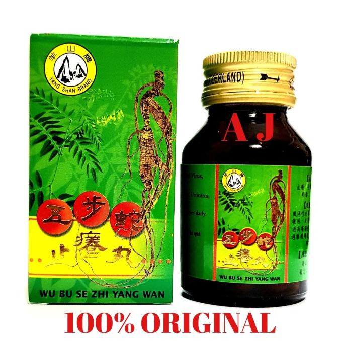 WU BE SE ZHI YANG WAN - OBAT UNTUK GATAL