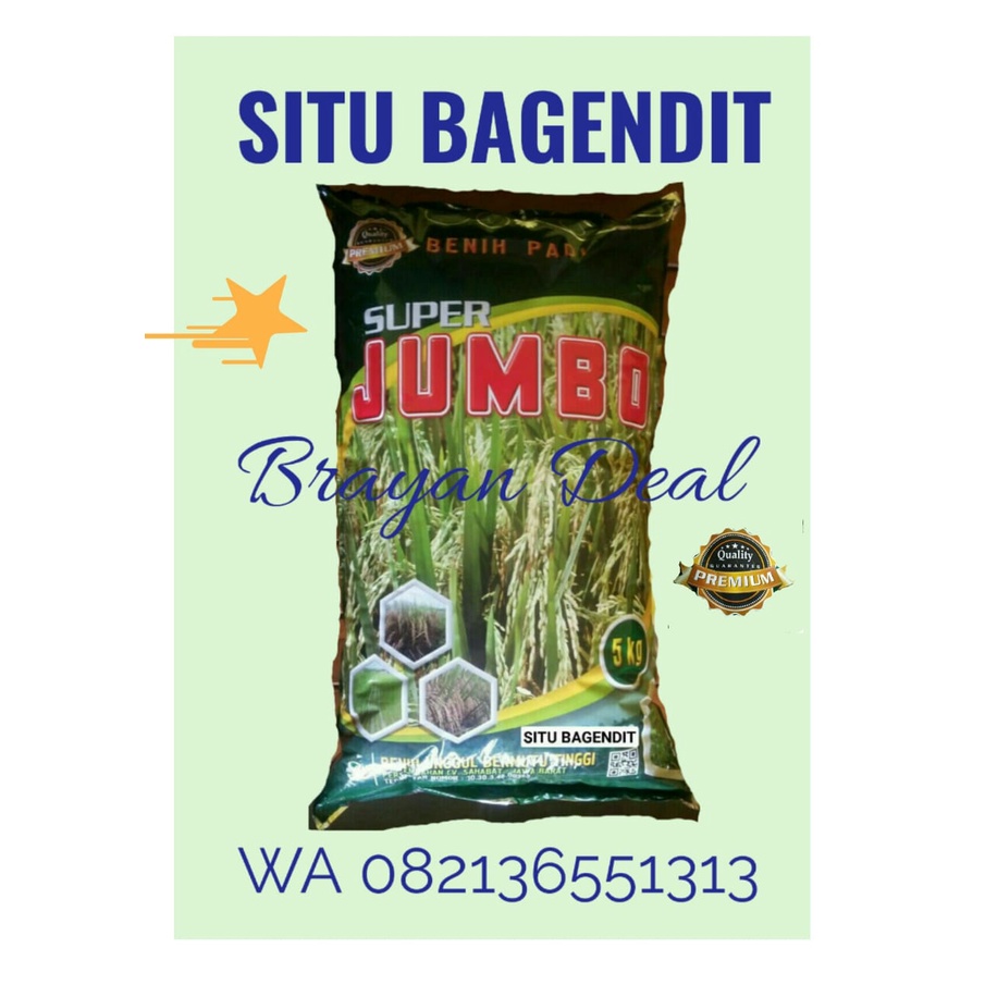 SITU BAGENDIT BENIH PADI UNGGUL SUPER JUMBO BERSERTIFIKAT