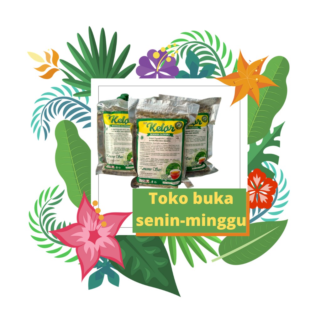 

TEH DAUN KELOR CURAH ASLI KENCONO SARI